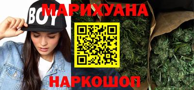индика Заводоуковск
