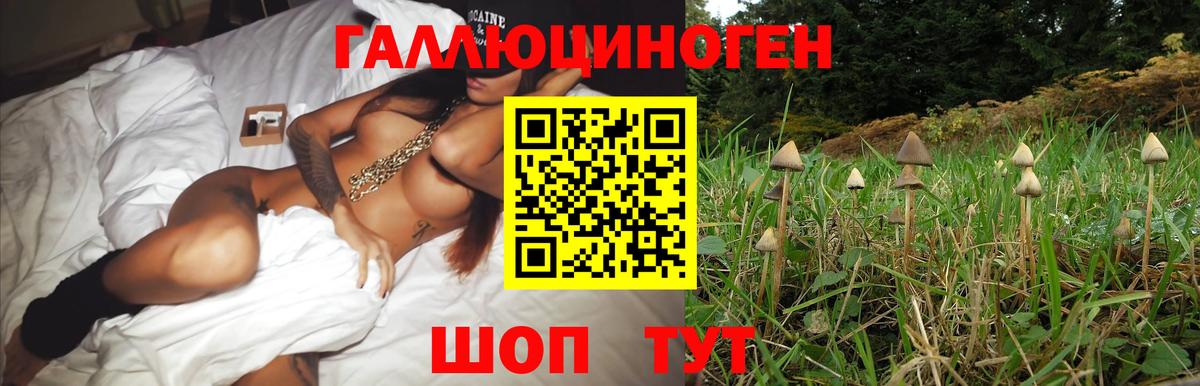 Псилоцибиновые грибы мухоморы Лянтор